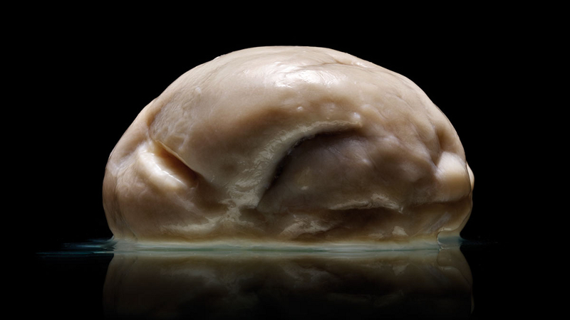 Illustration for article titled Las fotos y noticias de ciencia más fascinantes de 2013